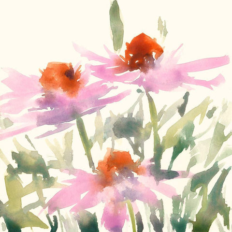 Daisy Garden Views I Black Modern Wood Framed Art Print by Dixon, Samuel