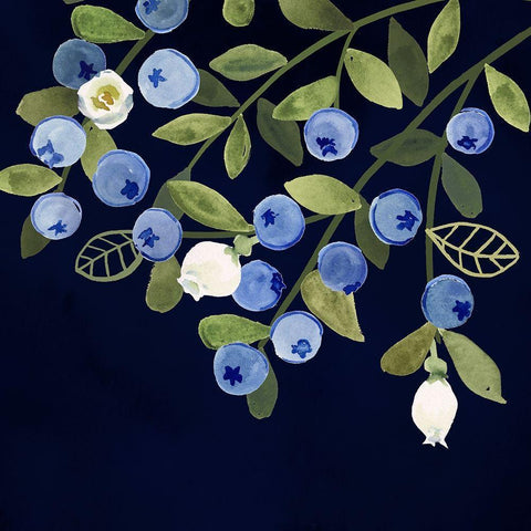 Fresh Fruit VI White Modern Wood Framed Art Print by Borges, Victoria