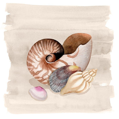 Ocean Keepsake I White Modern Wood Framed Art Print with Double Matting by Popp, Grace