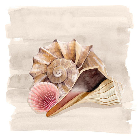 Ocean Keepsake II Black Modern Wood Framed Art Print with Double Matting by Popp, Grace