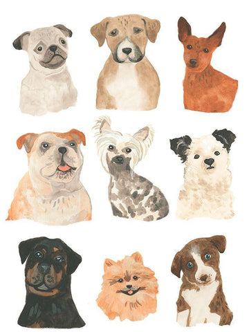 Doggos and Puppers I White Modern Wood Framed Art Print with Double Matting by Vess, June Erica