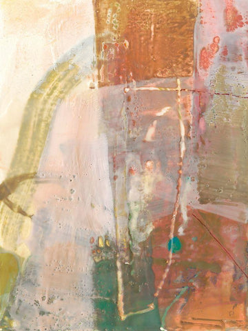 Ferly III Black Ornate Wood Framed Art Print with Double Matting by Jachimiec, Sue