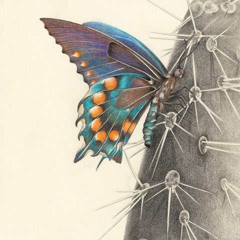 Majestic Butterfly I White Modern Wood Framed Art Print with Double Matting by Liama, Lily