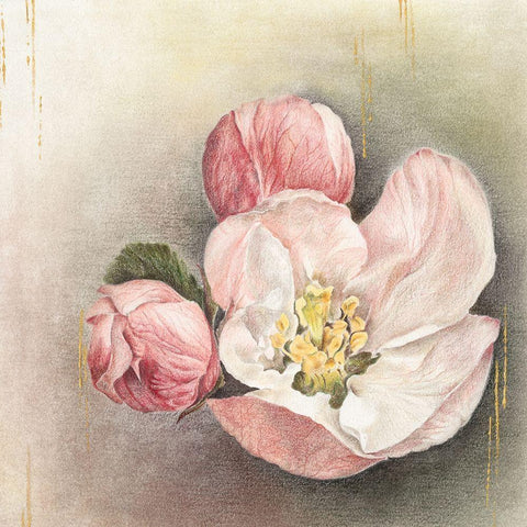 Enlightenment Blossom I White Modern Wood Framed Art Print by Liama, Lily