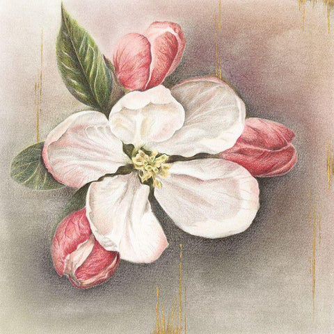 Enlightenment Blossom II White Modern Wood Framed Art Print by Liama, Lily