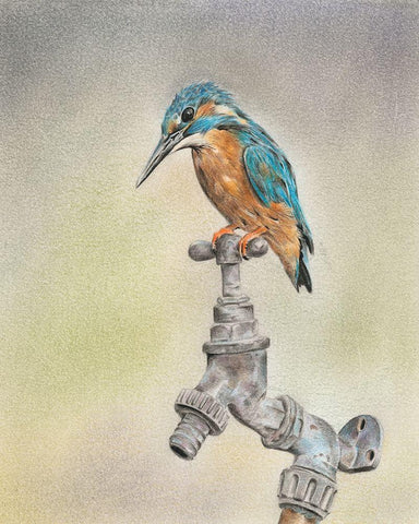 Glory Bird II White Modern Wood Framed Art Print with Double Matting by Liama, Lily