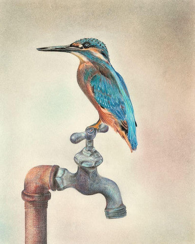 Glory Bird III Black Ornate Wood Framed Art Print with Double Matting by Liama, Lily