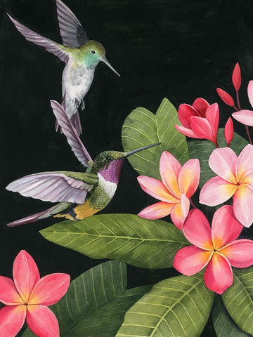 In the Plumeria I Black Ornate Wood Framed Art Print with Double Matting by Popp, Grace