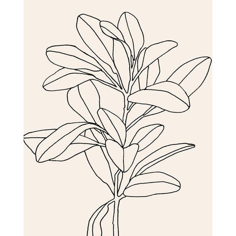 Olive Branch Contour II Black Modern Wood Framed Art Print by Scarvey, Emma