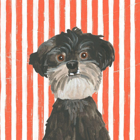 Parlor Pooches I White Modern Wood Framed Art Print with Double Matting by Vess, June Erica