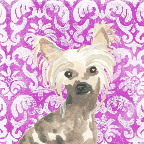 Parlor Pooches IX White Modern Wood Framed Art Print by Vess, June Erica