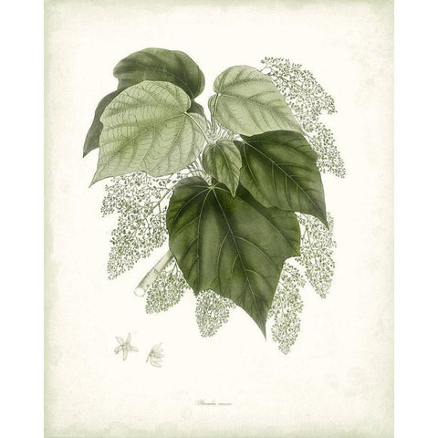 Sage Botanical III Gold Ornate Wood Framed Art Print with Double Matting by Vision Studio