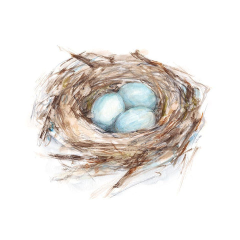 Bird Life I Black Modern Wood Framed Art Print with Double Matting by Harper, Ethan