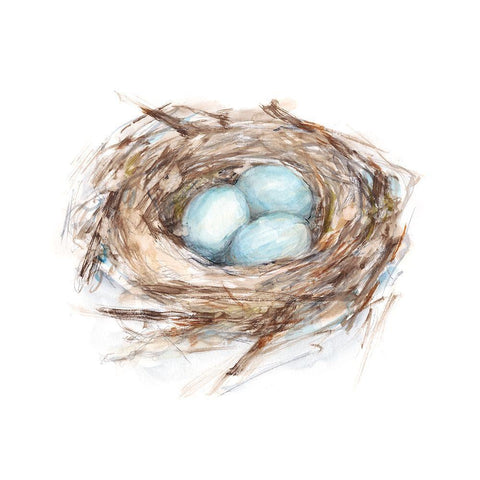 Bird Life I White Modern Wood Framed Art Print with Double Matting by Harper, Ethan