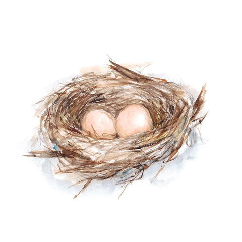 Bird Life II White Modern Wood Framed Art Print with Double Matting by Harper, Ethan