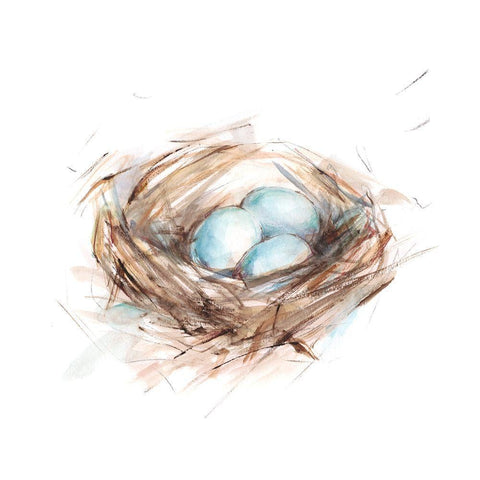 Bird Life III Black Ornate Wood Framed Art Print with Double Matting by Harper, Ethan