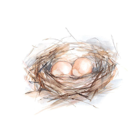 Bird Life IV White Modern Wood Framed Art Print with Double Matting by Harper, Ethan