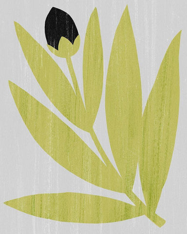 Flower Cutting I Black Ornate Wood Framed Art Print with Double Matting by Popp, Grace