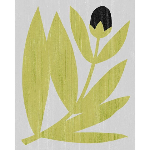 Flower Cutting II Black Modern Wood Framed Art Print with Double Matting by Popp, Grace