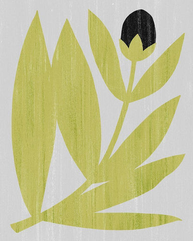 Flower Cutting II White Modern Wood Framed Art Print with Double Matting by Popp, Grace