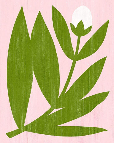 Flower Cutting III White Modern Wood Framed Art Print with Double Matting by Popp, Grace