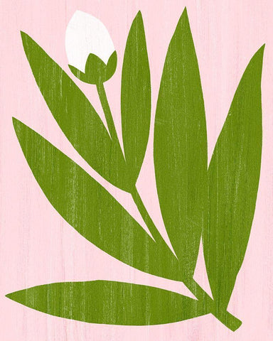 Flower Cutting IV White Modern Wood Framed Art Print with Double Matting by Popp, Grace