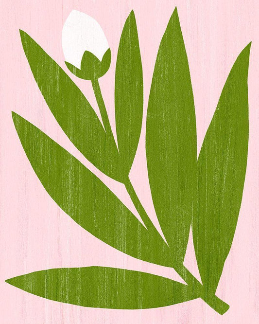 Image Only
