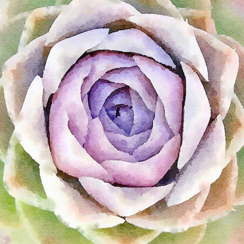 Succulente IV White Modern Wood Framed Art Print by Bolick, Vicki Gladle