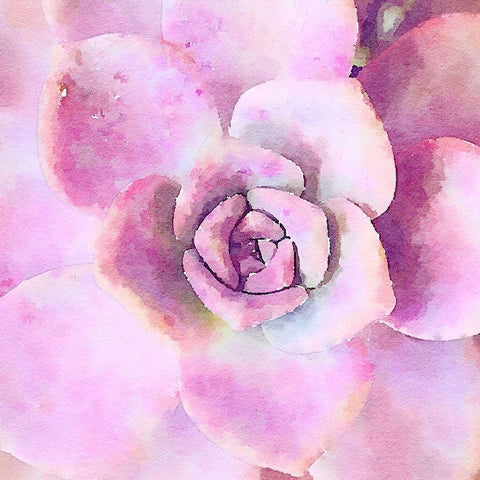 Succulente VIII White Modern Wood Framed Art Print by Bolick, Vicki Gladle