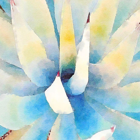 Succulente IX Gold Ornate Wood Framed Art Print with Double Matting by Bolick, Vicki Gladle