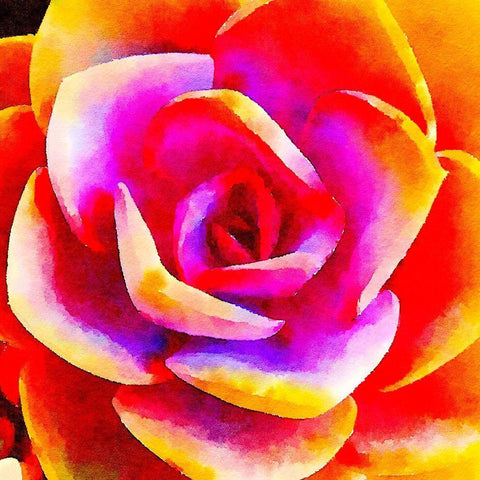 Succulente XII White Modern Wood Framed Art Print with Double Matting by Bolick, Vicki Gladle