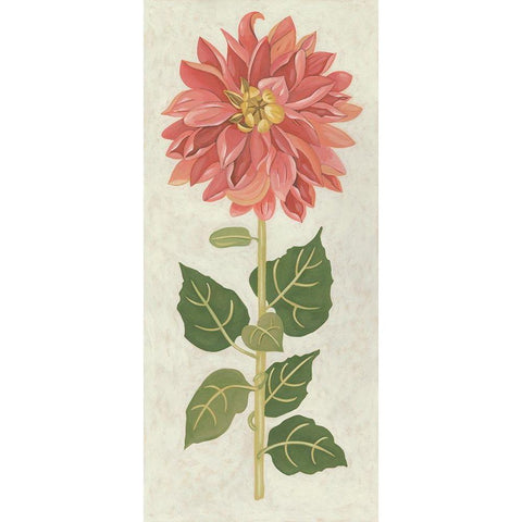 Non-Embellished Dahlia I Gold Ornate Wood Framed Art Print with Double Matting by Zarris, Chariklia