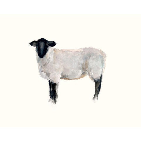 Farm Animal Study I Gold Ornate Wood Framed Art Print with Double Matting by Harper, Ethan