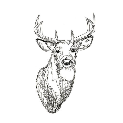 Whitetail Wireframe I White Modern Wood Framed Art Print by Scarvey, Emma