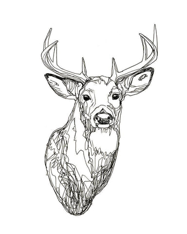 Whitetail Wireframe I White Modern Wood Framed Art Print with Double Matting by Scarvey, Emma