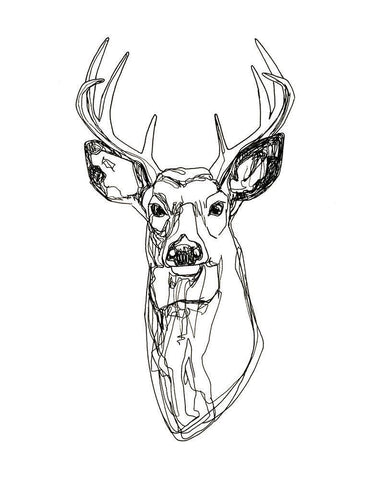 Whitetail Wireframe II White Modern Wood Framed Art Print with Double Matting by Scarvey, Emma