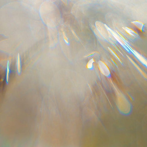 Angel Drops I Gold Ornate Wood Framed Art Print with Double Matting by Hunt, Gillian