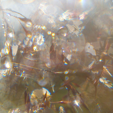 Angel Drops II Black Modern Wood Framed Art Print by Hunt, Gillian