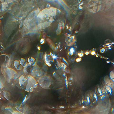 Angel Drops III White Modern Wood Framed Art Print with Double Matting by Hunt, Gillian