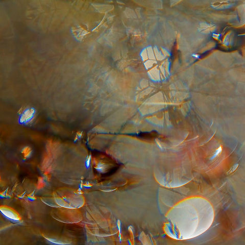 Angel Drops IV Black Modern Wood Framed Art Print by Hunt, Gillian