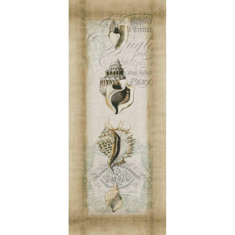 Cartouche and Shells II Gold Ornate Wood Framed Art Print with Double Matting by Goldberger, Jennifer