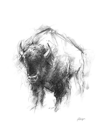 Western Animal Sketch I White Modern Wood Framed Art Print with Double Matting by Harper, Ethan