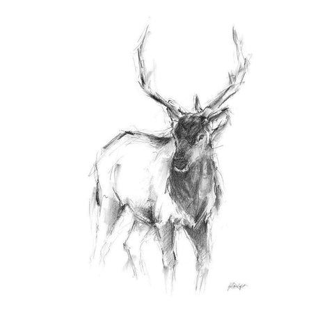 Western Animal Sketch II Black Modern Wood Framed Art Print by Harper, Ethan