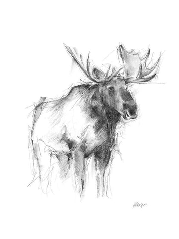 Western Animal Sketch IV White Modern Wood Framed Art Print with Double Matting by Harper, Ethan