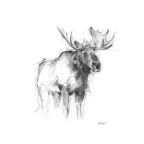 Western Animal Sketch IV Black Modern Wood Framed Art Print with Double Matting by Harper, Ethan