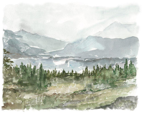 Overcast Reservoir II Black Ornate Wood Framed Art Print with Double Matting by Harper, Ethan