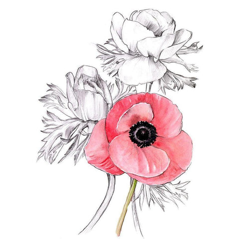 Anemone by Number I Black Modern Wood Framed Art Print with Double Matting by Parker, Jennifer Paxton