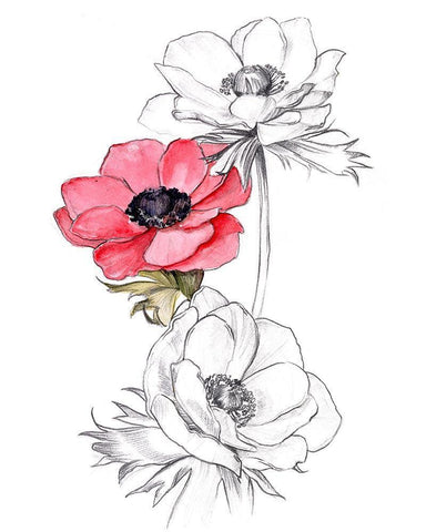 Anemone by Number II White Modern Wood Framed Art Print with Double Matting by Parker, Jennifer Paxton