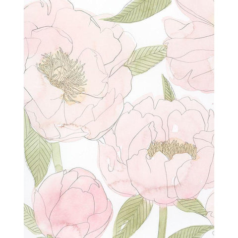 Veiled Peonies I Black Modern Wood Framed Art Print with Double Matting by Popp, Grace