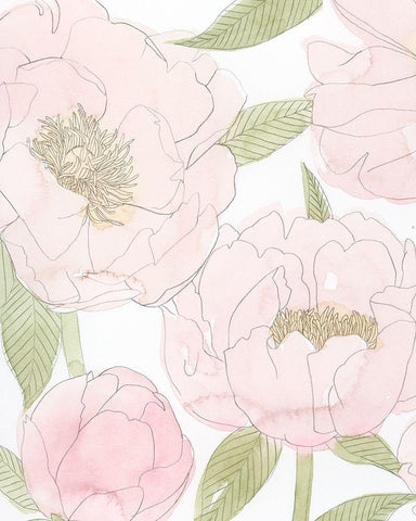 Veiled Peonies I White Modern Wood Framed Art Print with Double Matting by Popp, Grace